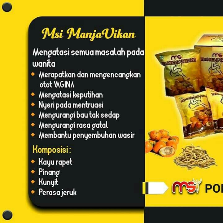 Manja Vikan Msi 2