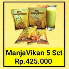 Manja Vikan Msi 3