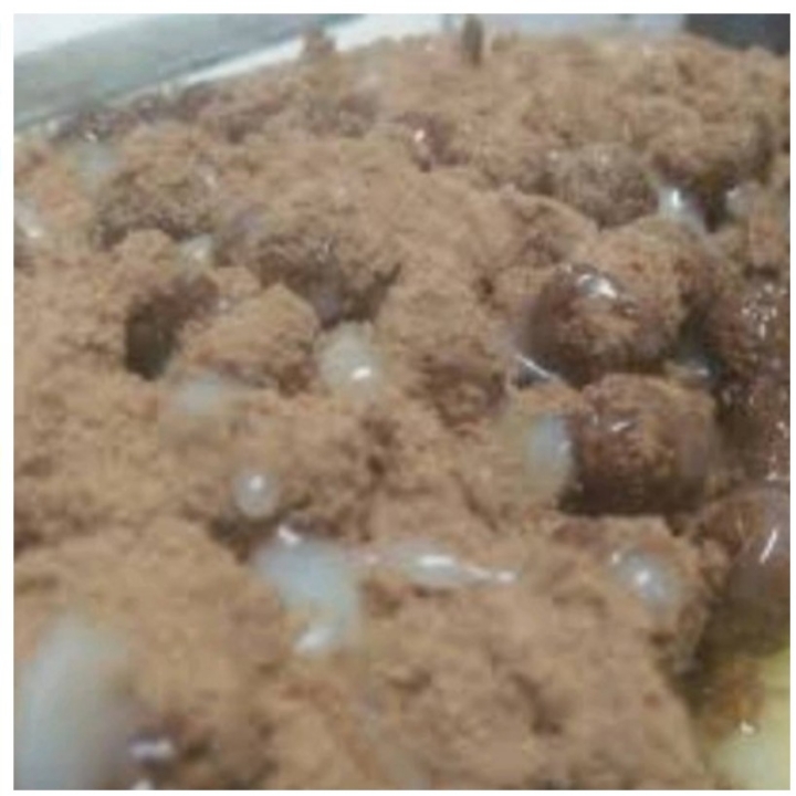 Martabak Milo Kruch Pandan