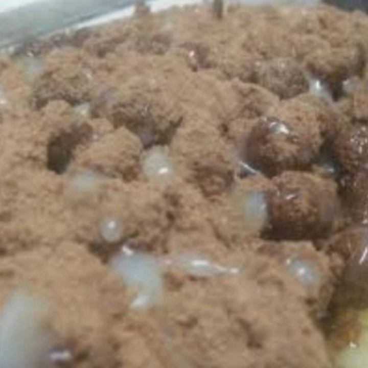 Martabak Ovaltine Krunch Hitam
