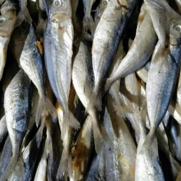 Ikan Kering 2