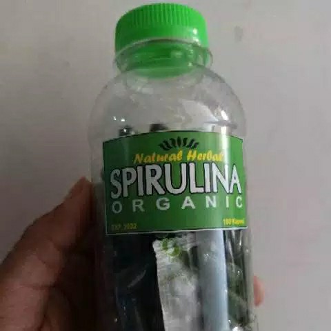 Masker Spirulina Organic