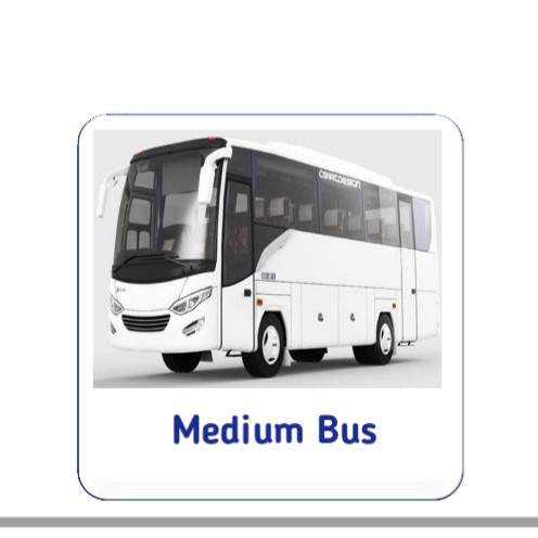 Medium Bus