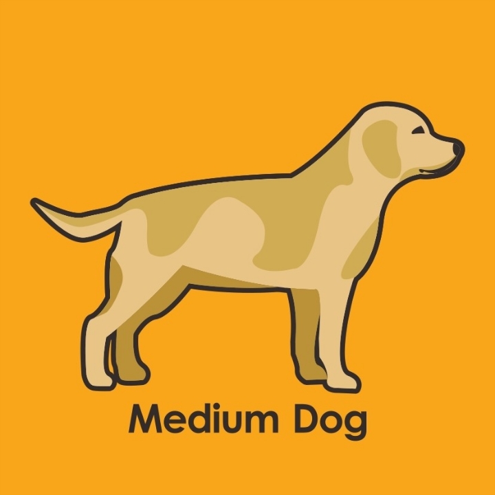 Medium Dog  