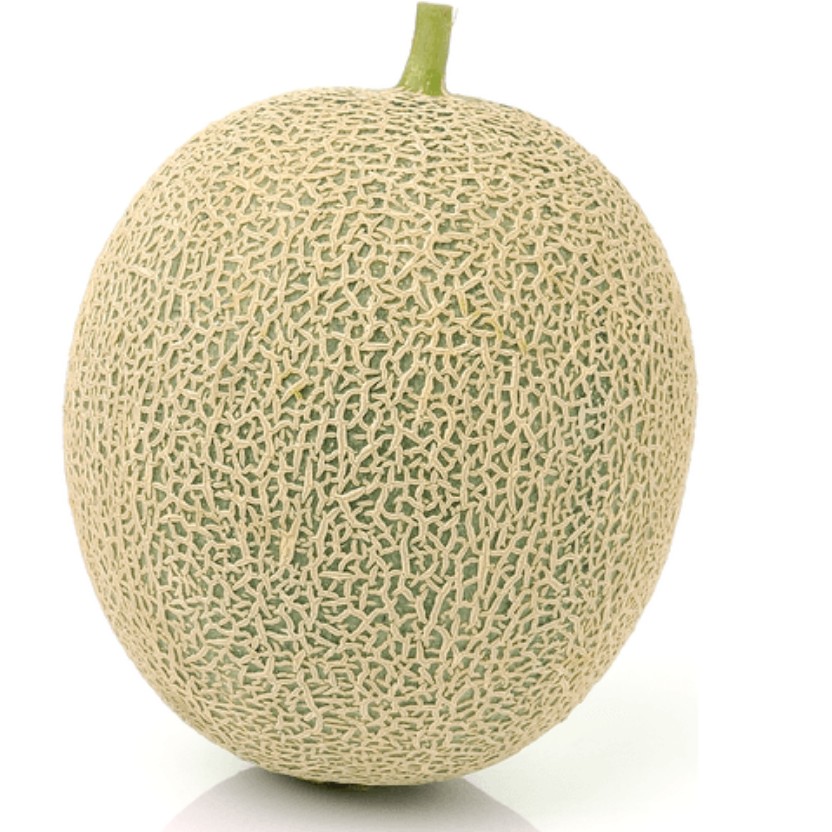 Melon