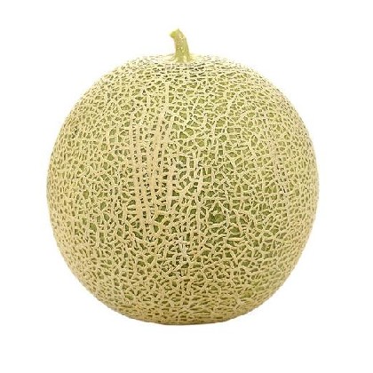 Melon