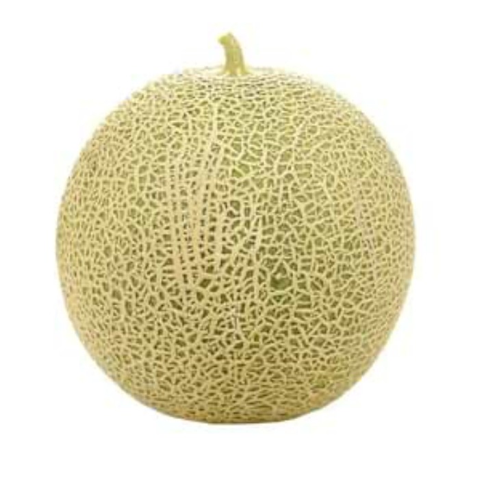 Melon 1000-1400 gr