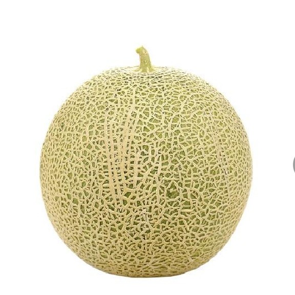 Melon Madu