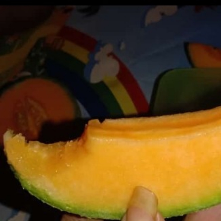 Melon Oren Per Biji 2