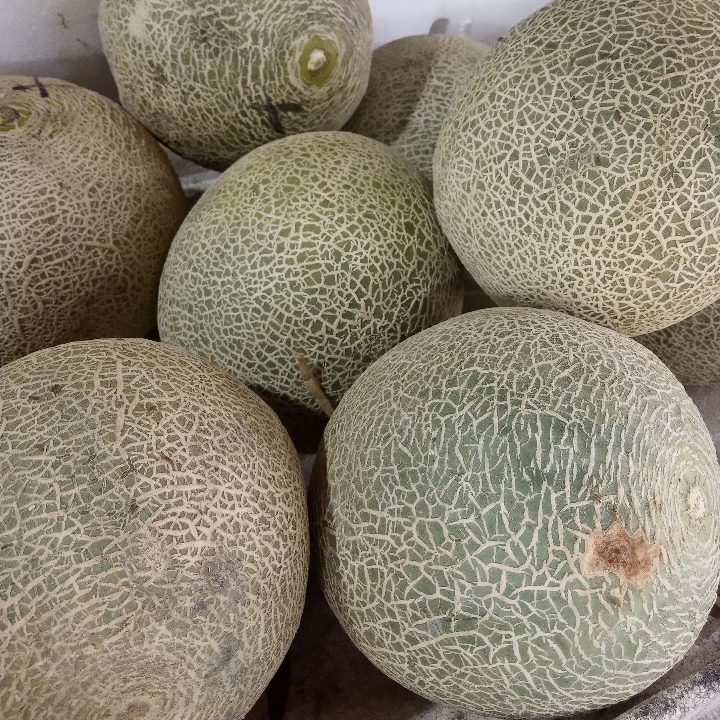 Melon Putih 1kg