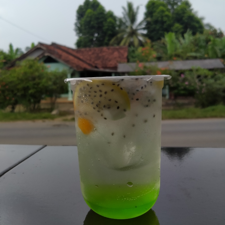 Melon Squash