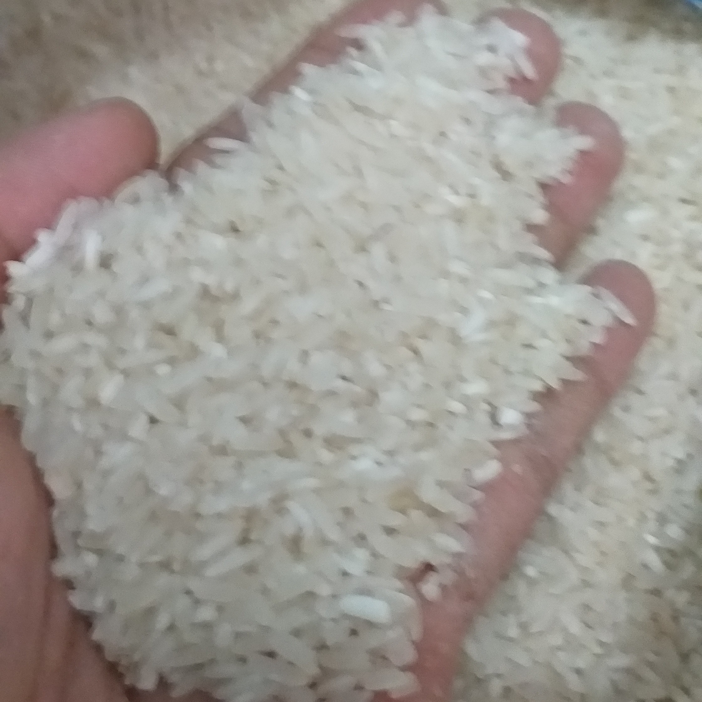 Membramo