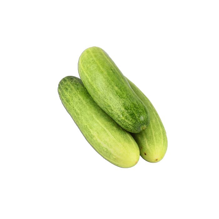 Mentimum