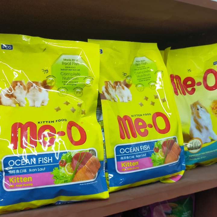 Meo Kitten Ocean Fish
