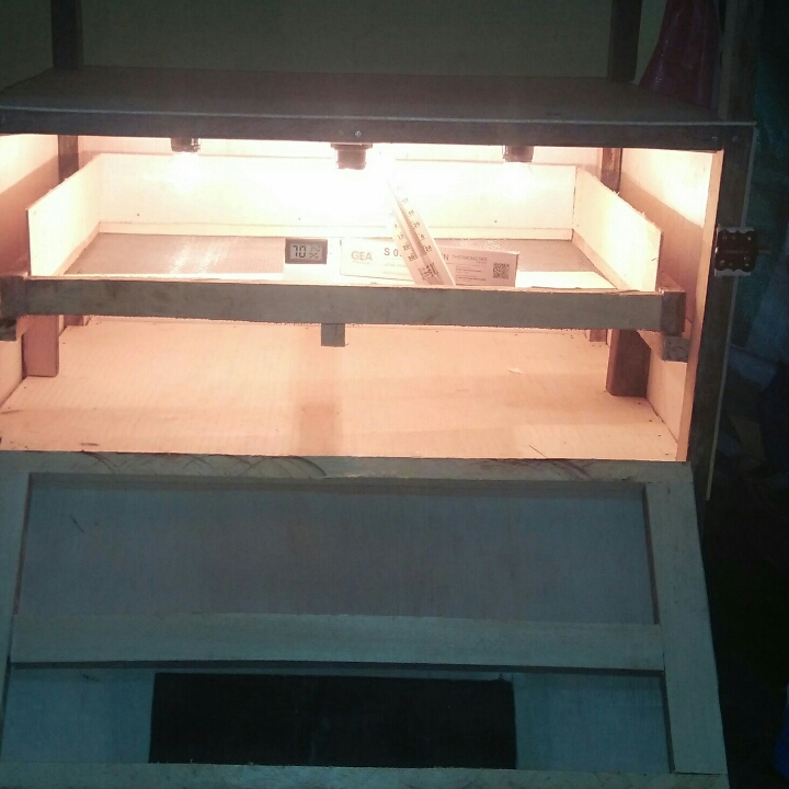 Mesin Tetas Telur puyuh