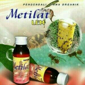 Metilat Lem Perangkap Lalat 