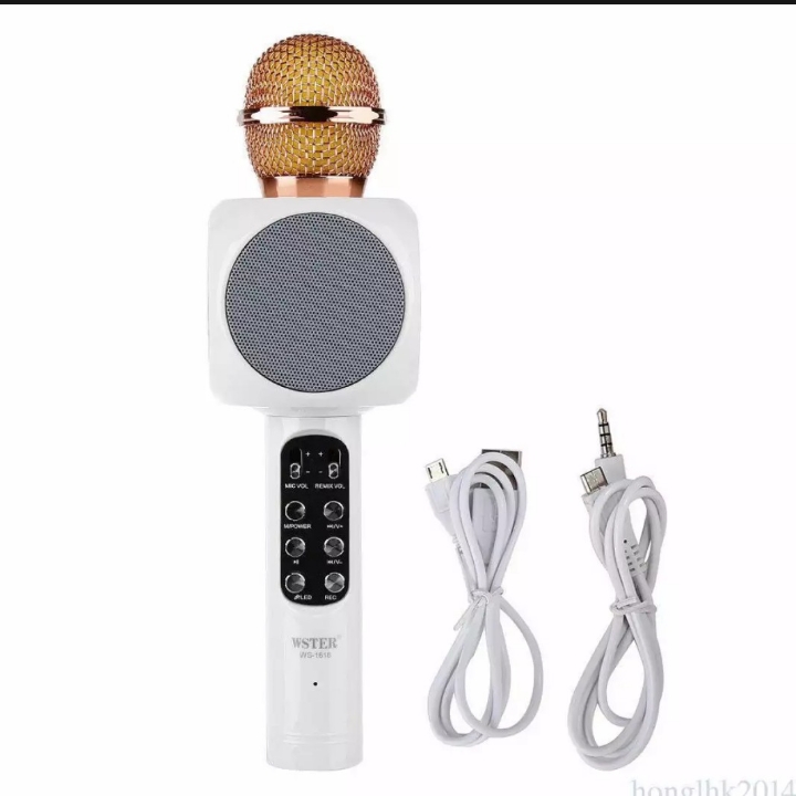 Mic Portable