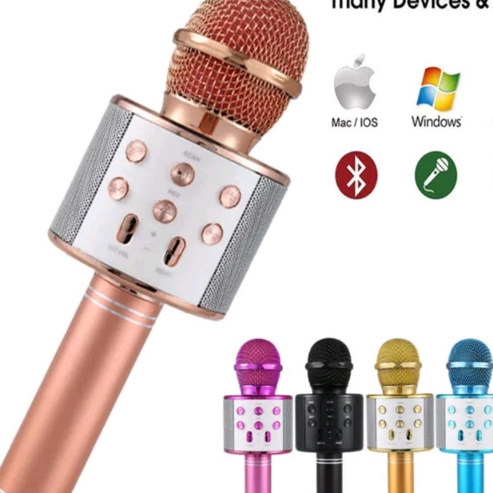 Mic WS-858