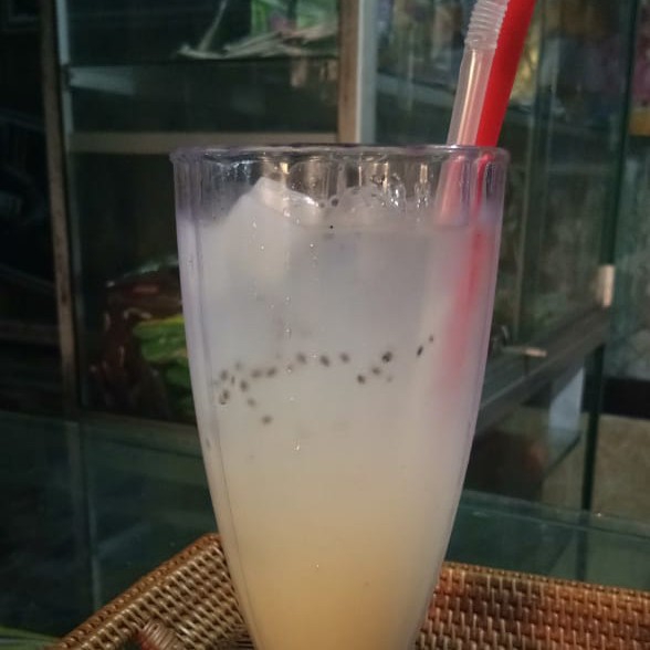 Milk Melon Ice