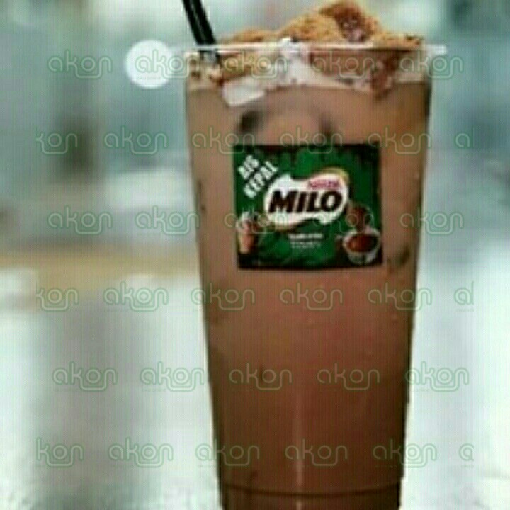 Milo Saurus