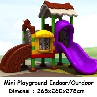 Mini Outdoor-Indoor Playground