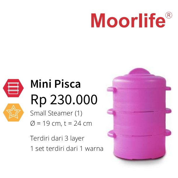Mini Pisca 4