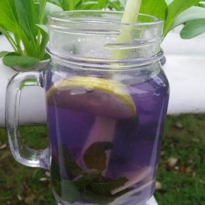 Minuman Sehat Bunga Telang