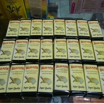 Minyak Bulus