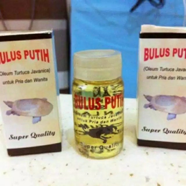 Minyak Bulus