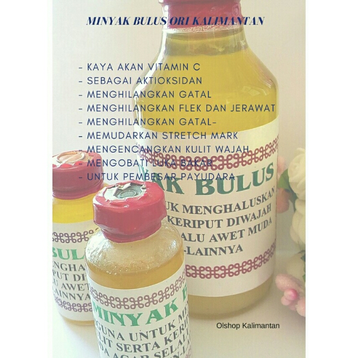 Minyak Bulus ori Kalimantan