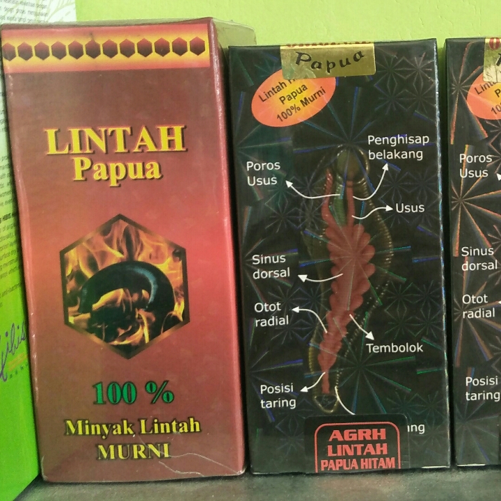 Minyak Lintah Papua