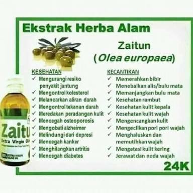 Minyak Zaitun 2