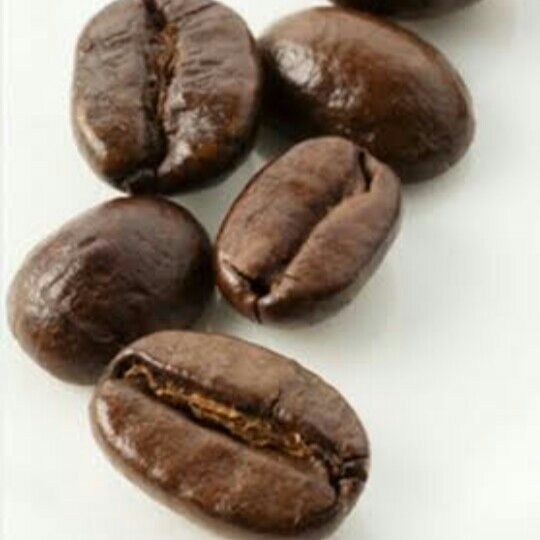 Mocca Squash
