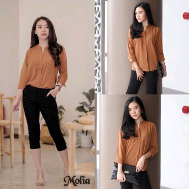 Molia Top Brown