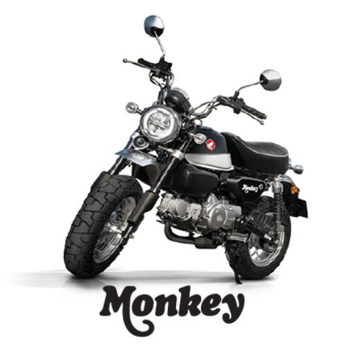 Monkey