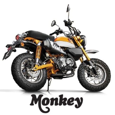 Monkey 2