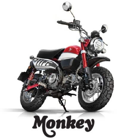 Monkey 3