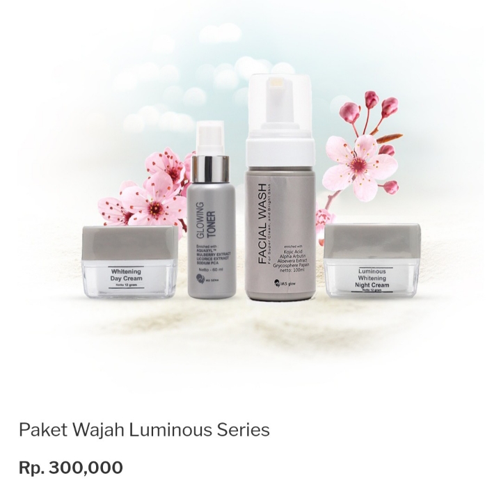 Ms Glow Paket Luminous