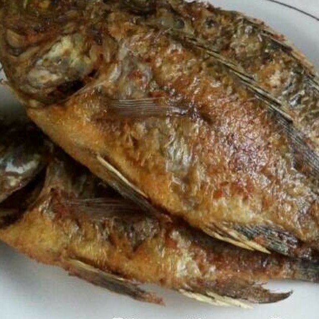 MUJAER GORENG