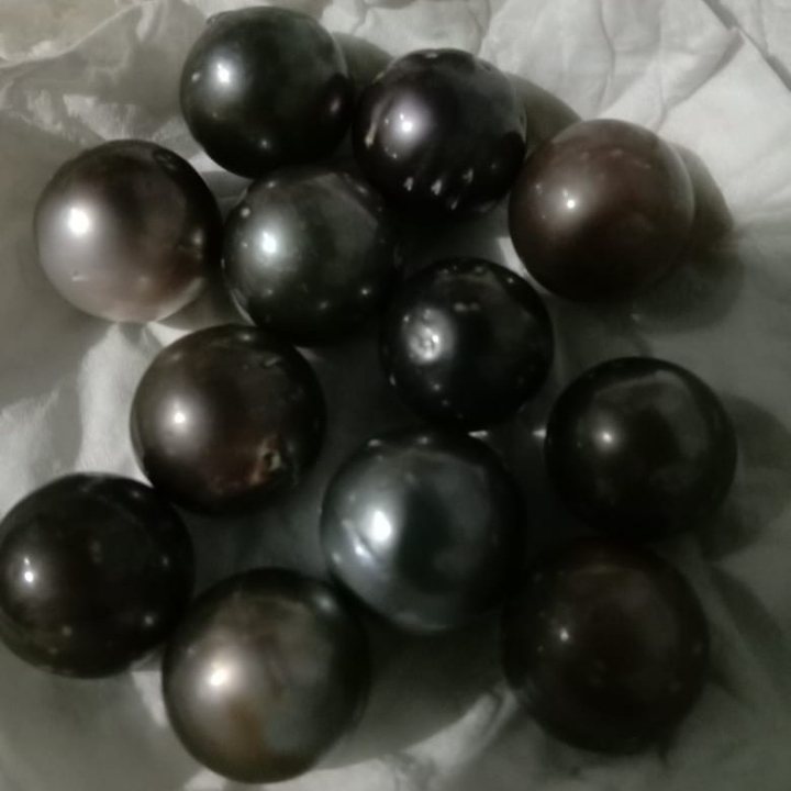 Mutiara Hitam Air Laut 