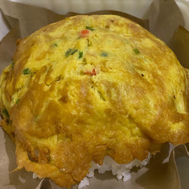 NASI DADAR RAWIT