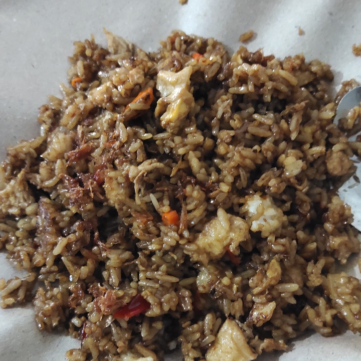 NASI GORENG BIASA