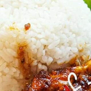 NASI PUTIH PEDAS