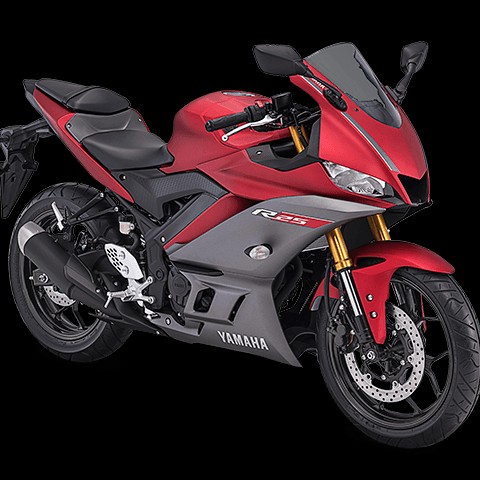 NEW R 25 2