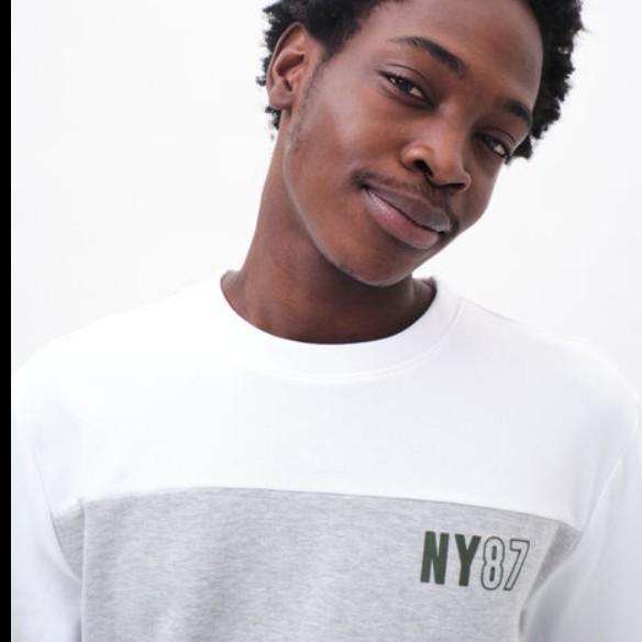 NY87 2