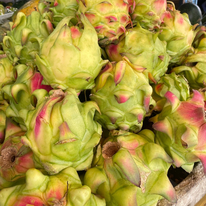 Naga Madu Perkilo