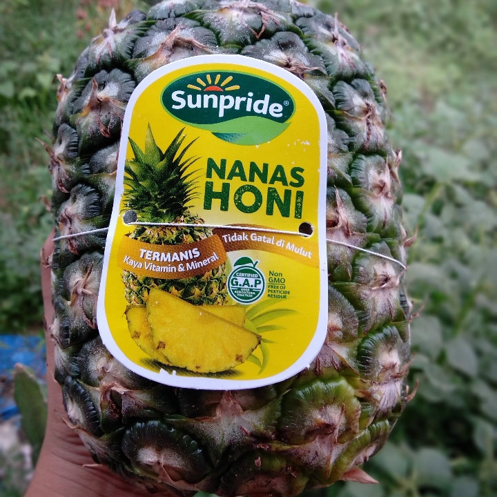 Nanas Honi