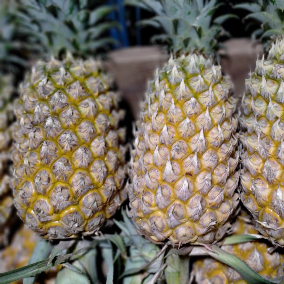 Nanas Madu