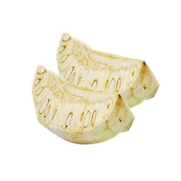 Nangka Muda Potong