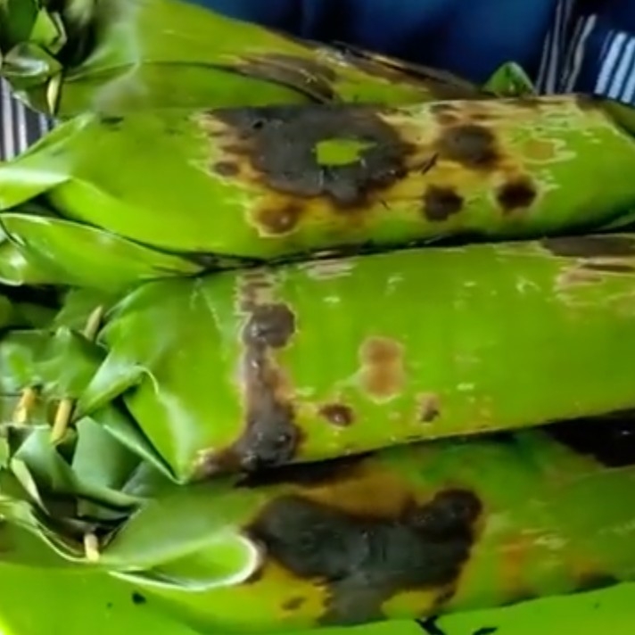 Nasi Bakar Isi Ayam Suir Porsi Dewasa